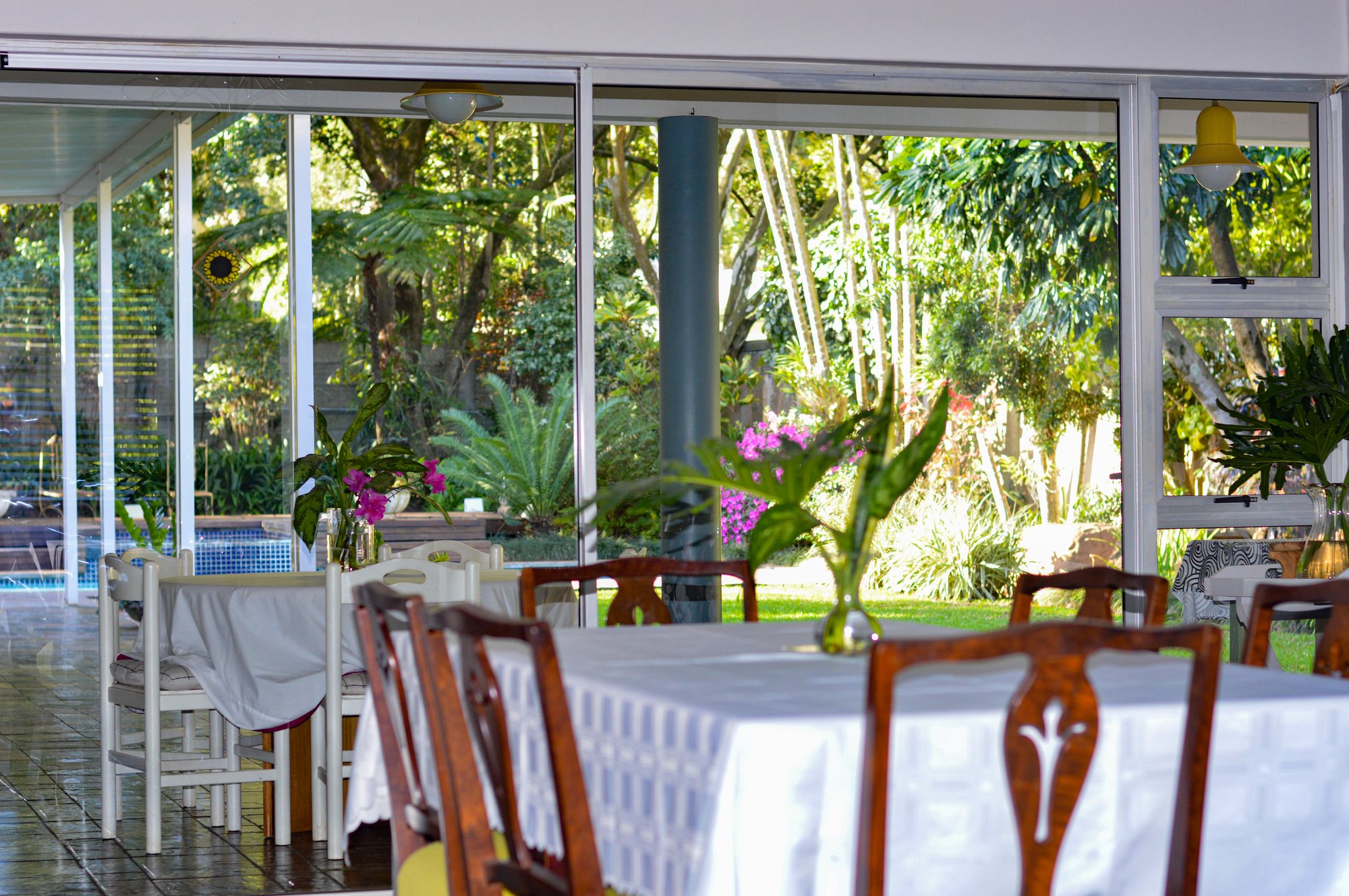 Shaded tropical planting in the Yellowwoods garden
