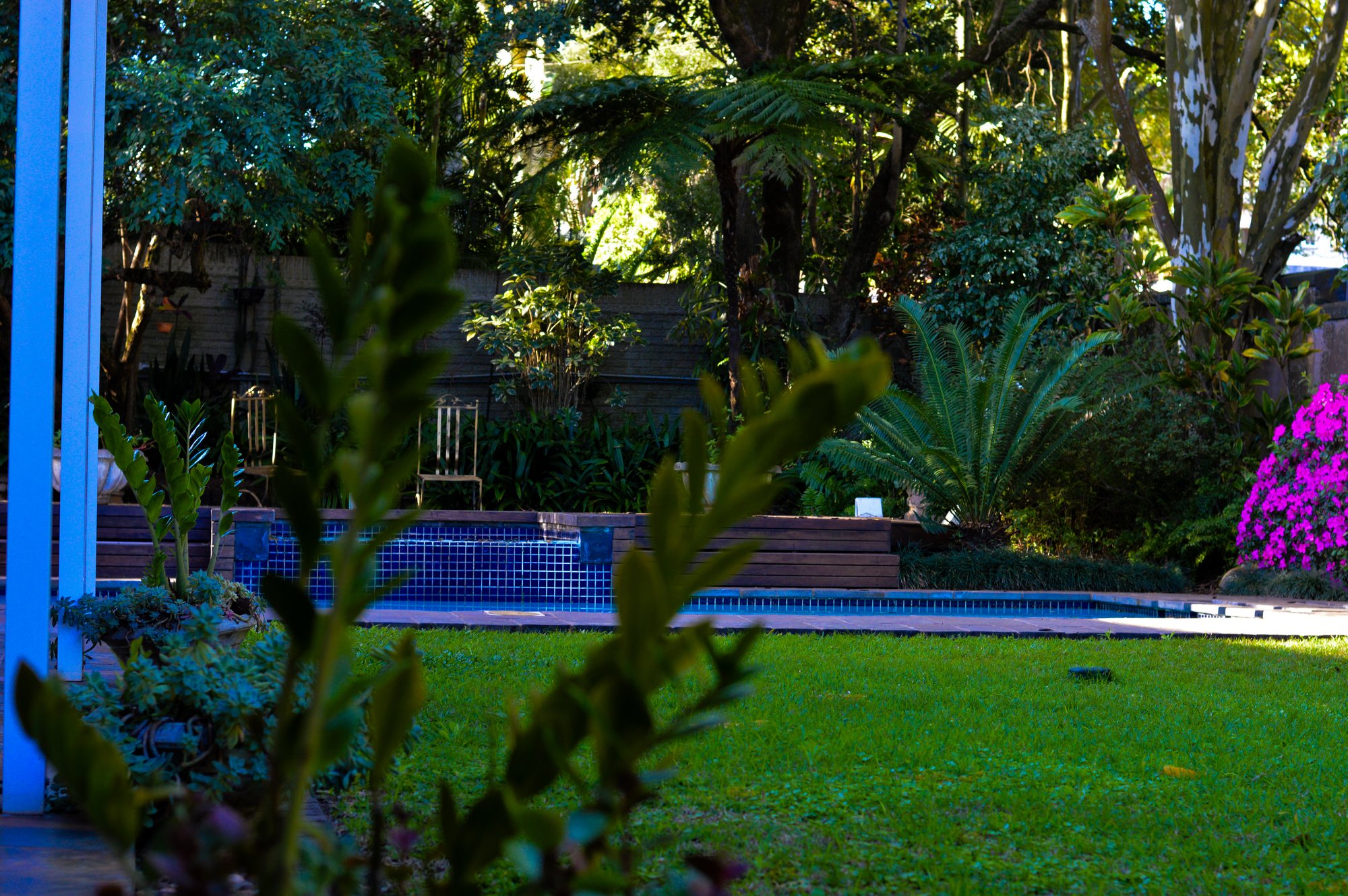 Pool and garden at Yellowwoods in Empangeni