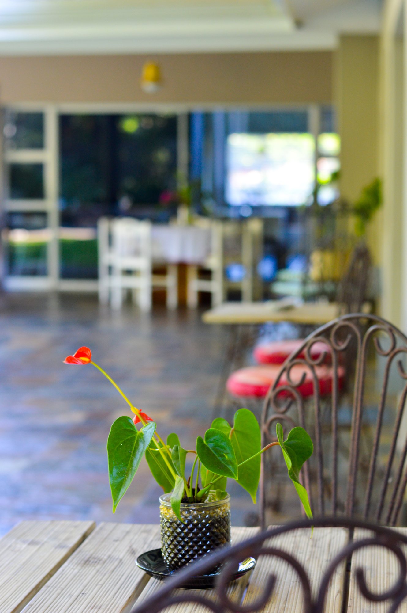 Guest lounge interior at Yellowwoods opening onto the garden