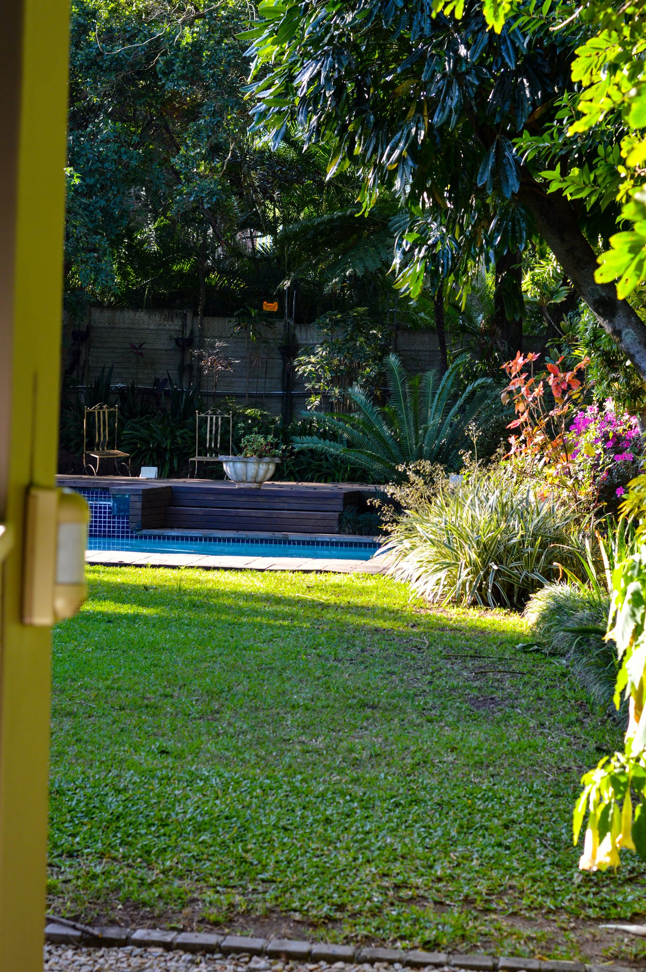Mature garden and lawn running down to the swimming pool at Yellowwoods Bed & Breakfast