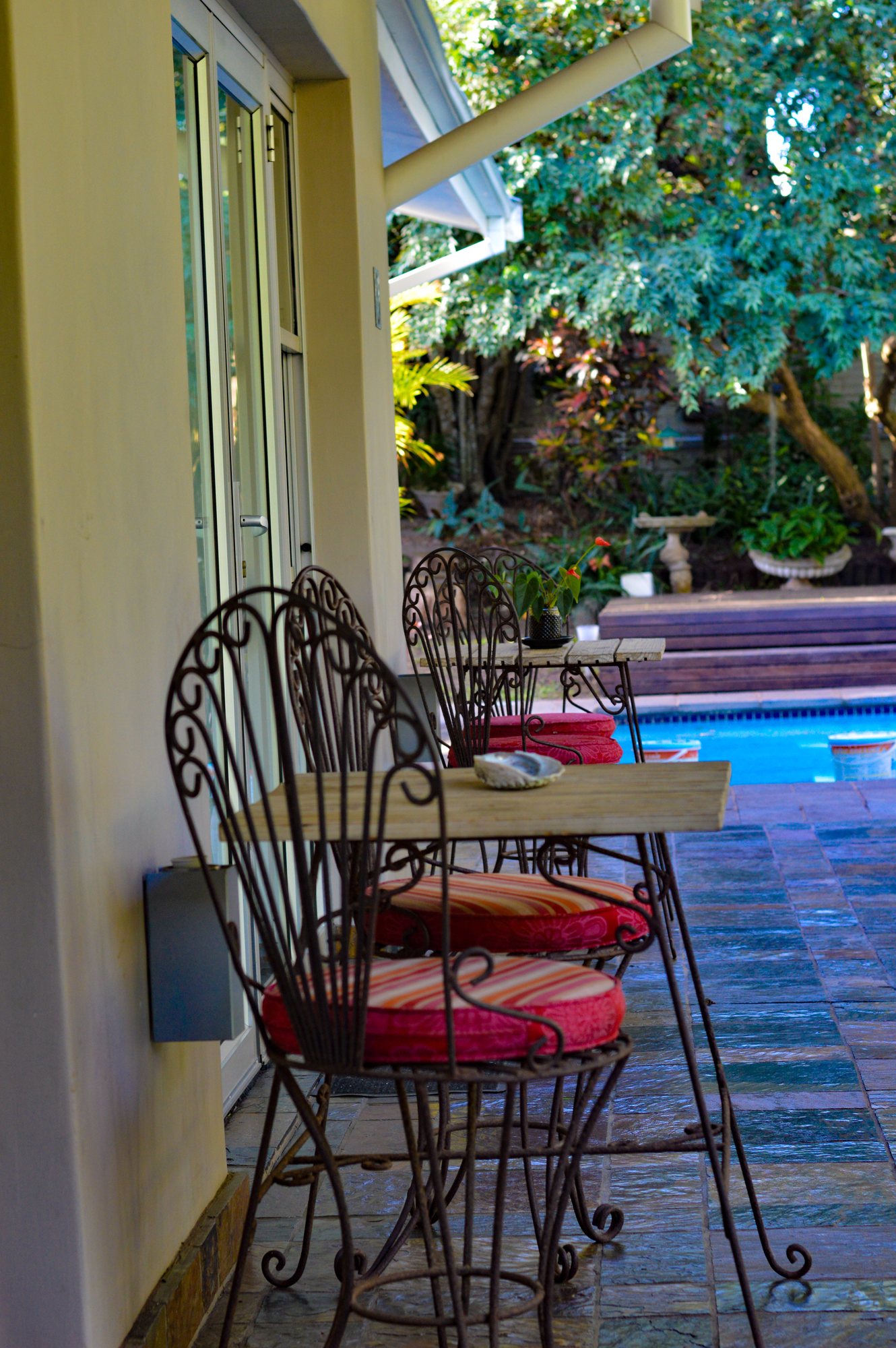 Yellowwoods pool and planted garden under evening light